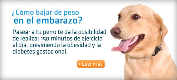 ¡Pasea a tu perro!